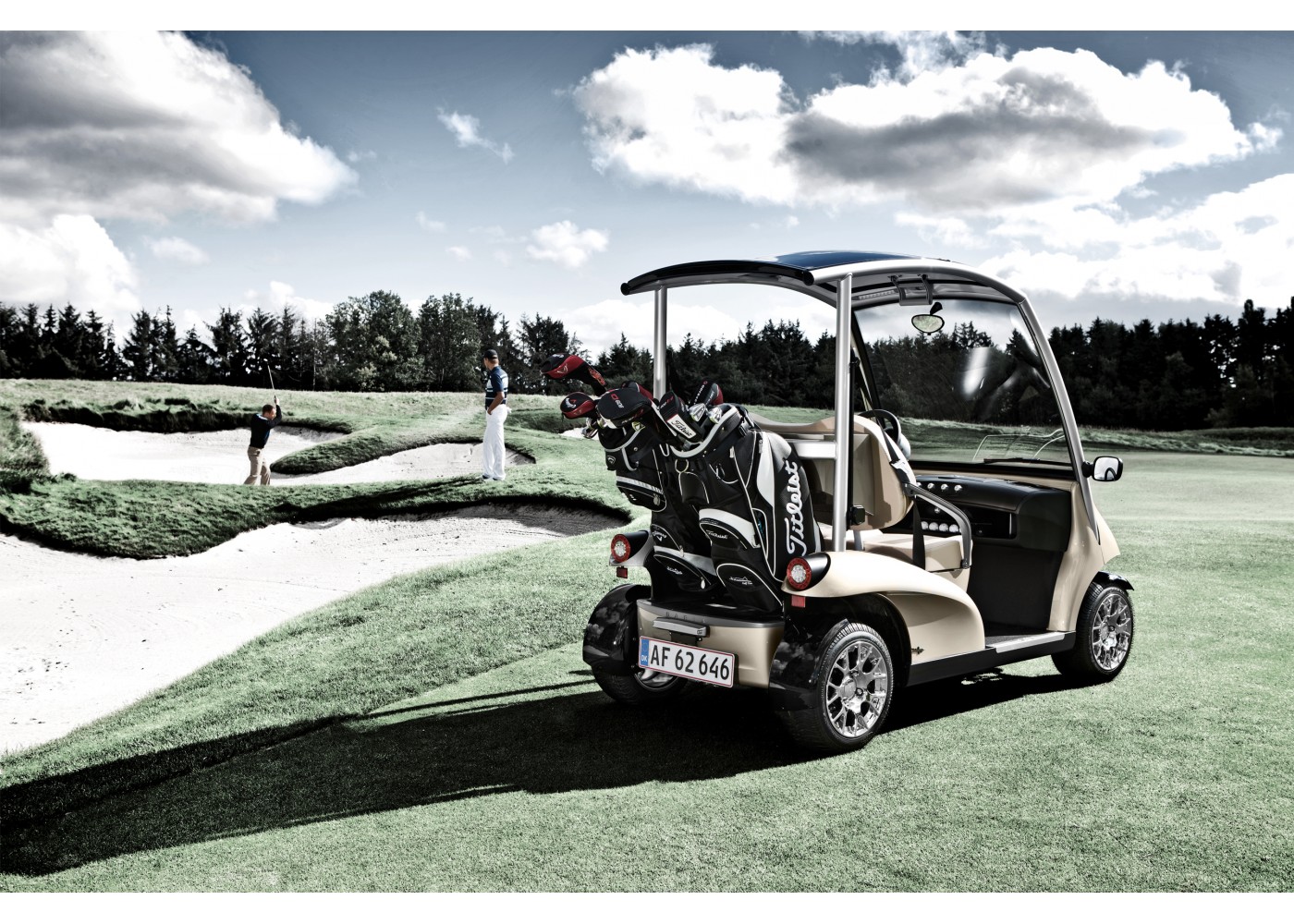 Garia Golf Car [ 2х местный гольф-кар ] Carousel 10