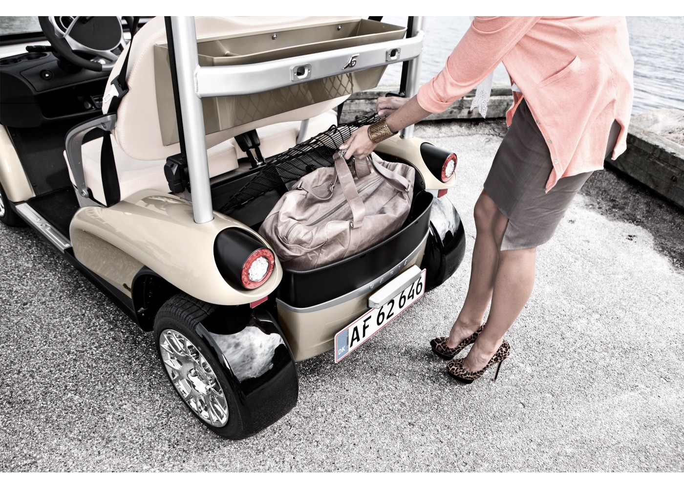 Garia Golf Car [ 2х местный гольф-кар ] Carousel 22