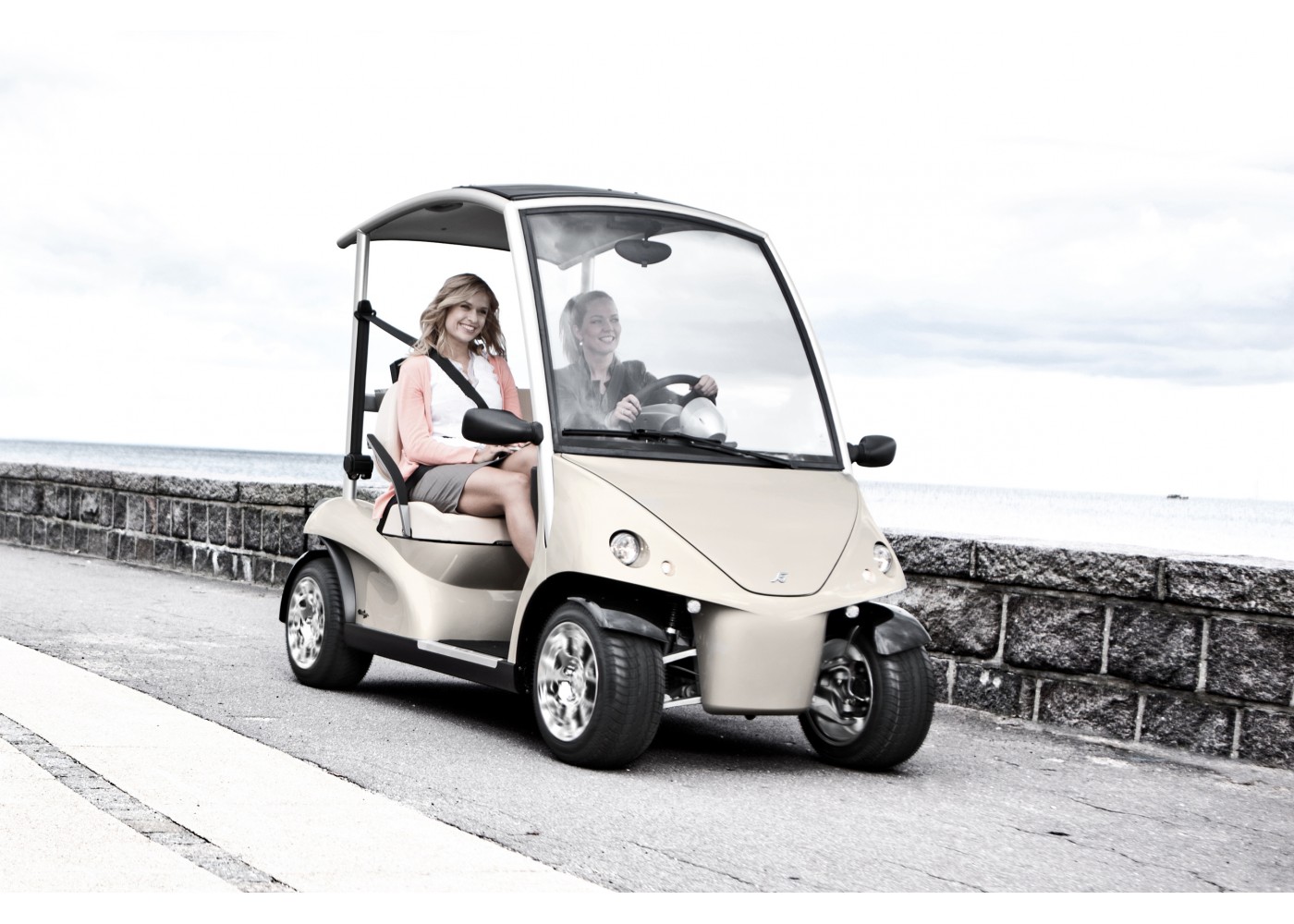 Garia Golf Car [ 2х местный гольф-кар ] Carousel 24